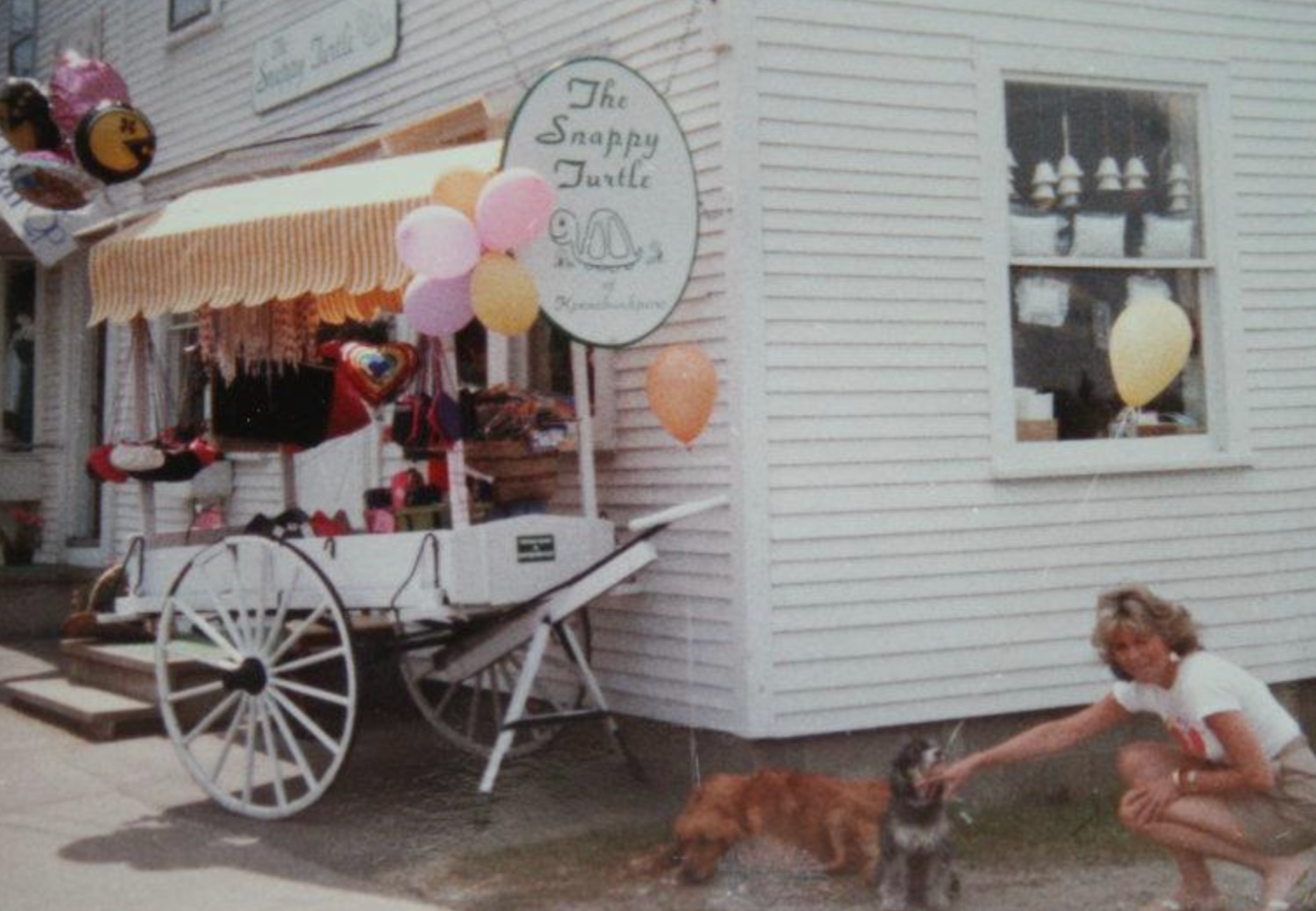 Vintage-style store front with a horse-drawn carriage and balloons, featuring 'The Snappy Turtle' sign.