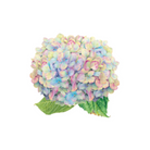 Die-Cut Placemats | Blooming Hydrangea image 0